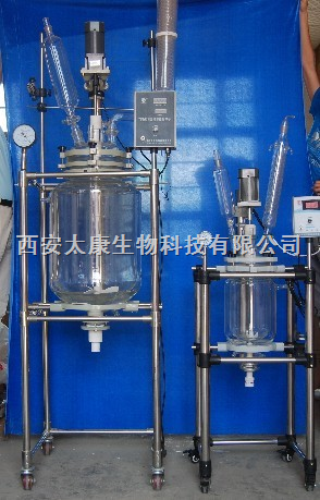 双层玻璃反应釜