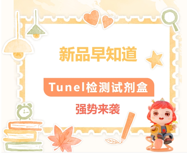 新品早知道 | Tunel檢測(cè)試劑盒強(qiáng)勢(shì)來(lái)襲！
