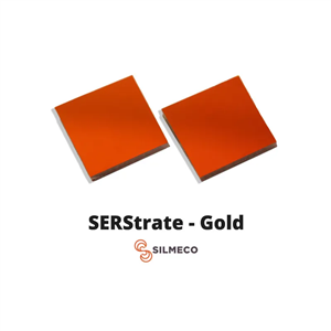 表面增強拉曼散射SERS襯底/基底