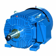 Cantoni防爆電機ExSh71-4AT3高效低耗性能