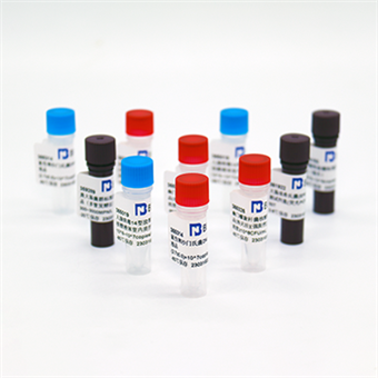 大腸桿菌噬菌體Qbeta核酸參考品（熱滅活）（強陽性）4