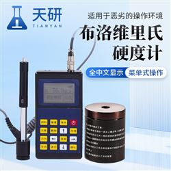 TY-110多功能里氏硬度計(jì)
