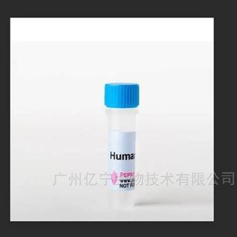 AF-300-01A-10Human?TNF-alpha重组人TNF-α