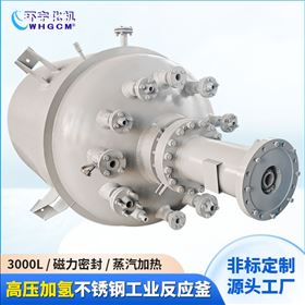 GSH-3000L3000L防爆高压磁力驱动反应釜