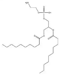 cas：253685-27-7，二癸酰磷脂酰乙醇胺