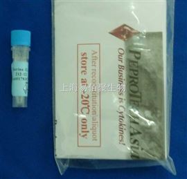 重组干扰素-7（rHuIL 7 , Yeast）
