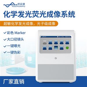 化學發光檢測儀熒光成像系統