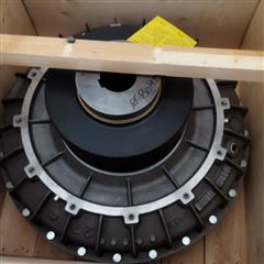 意大利Transfluid液力耦合器24 CKRB