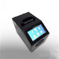 MEZN3932B蓄电池活化仪