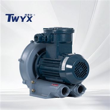 RB防爆旋渦式氣泵