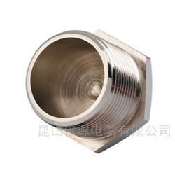 CYE1300Y Stopping plugRAXTON系列 CYE1200Y不銹鋼堵頭