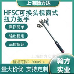 20-3000N.m可换头视窗式扭力扳手