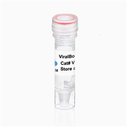 ViralBoost Reagent 病毒增強(qiáng)試劑