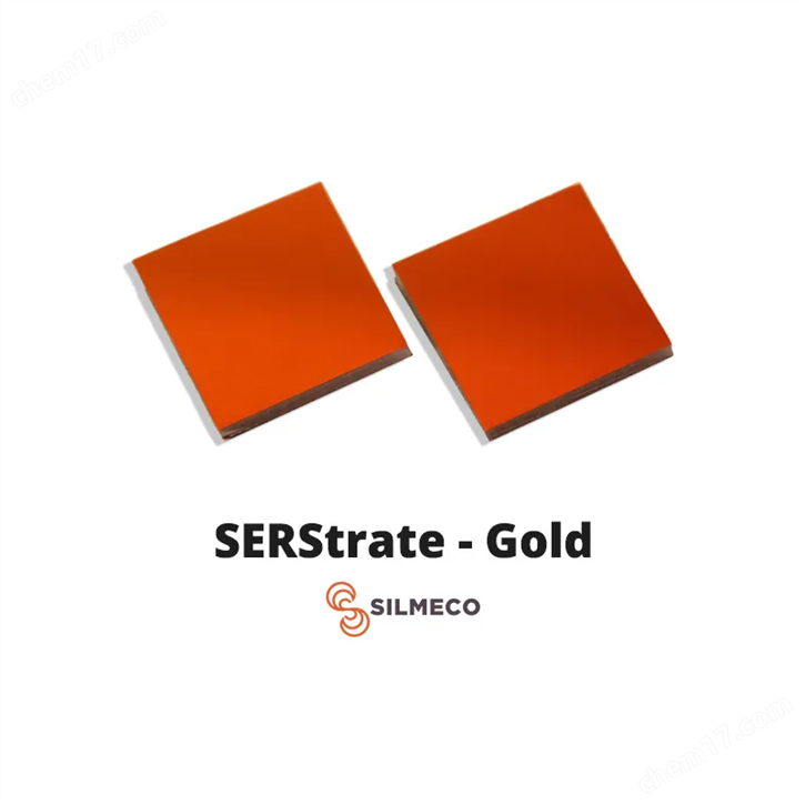 表面增強拉曼散射SERS襯底/基底
