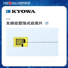 KYOWA共和電業(yè)無感應(yīng)型箔式應(yīng)變片