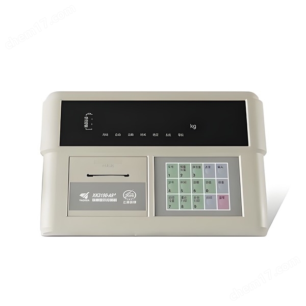 XK3190-ds3-天津電子地磅顯示儀表配件維修