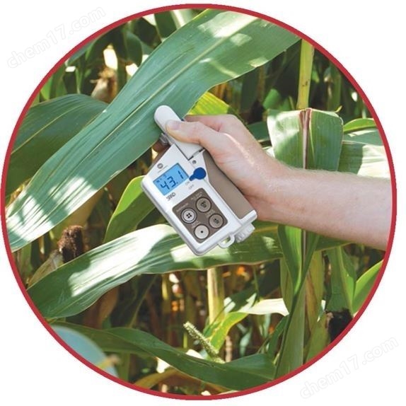 葉綠素測定儀