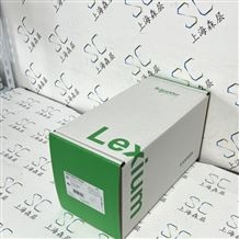 Schneider施耐德伺服電機(jī)BSH1002T11A2A