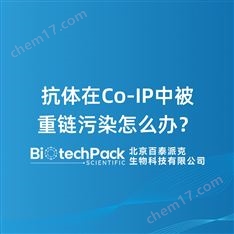 抗體在Co-IP中被重鏈污染怎么辦？