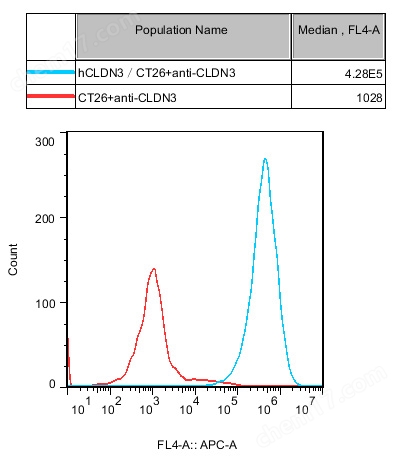 hCLDN3/CT26