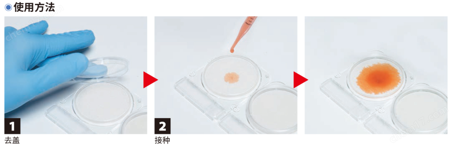 微生物快速測(cè)試片—金黃se葡萄球菌