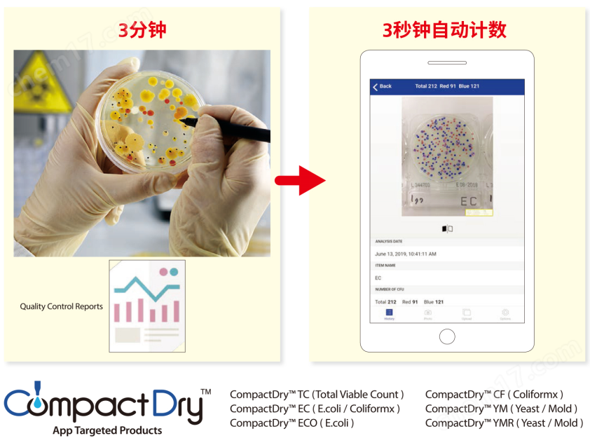 微生物快速測(cè)試片—霉菌與酵母快速型