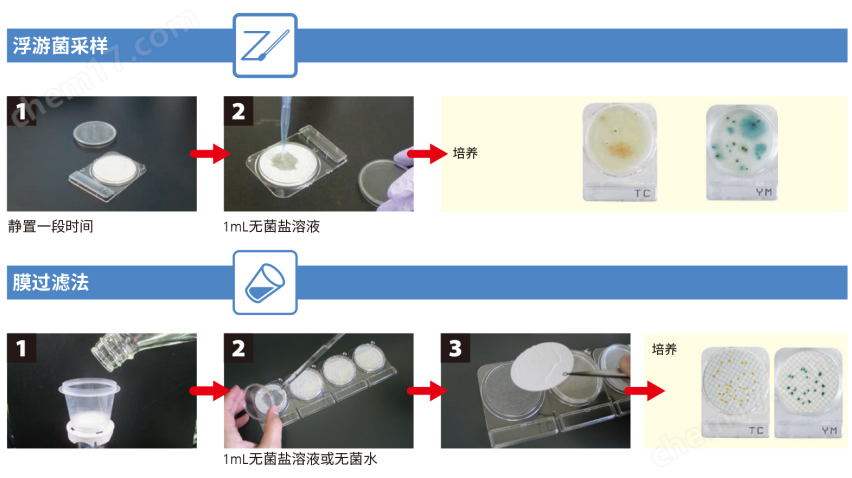 微生物快速測(cè)試片—霉菌與酵母快速型