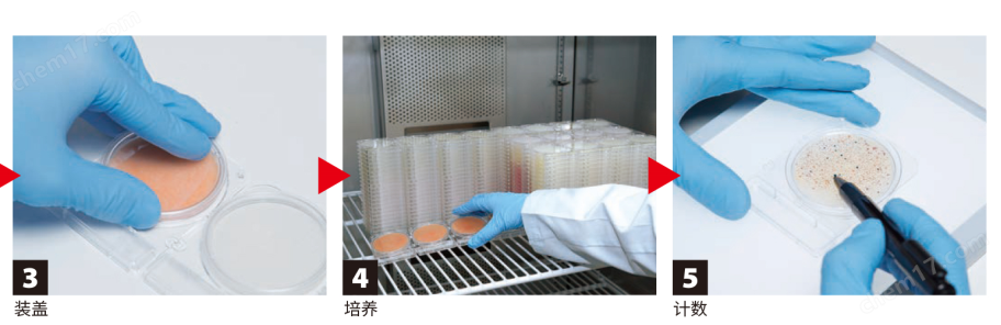 微生物快速測試片—霉菌與酵母