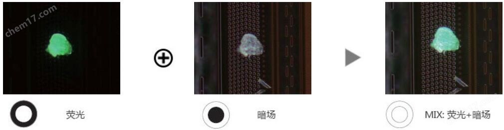 MX63 系列半導體/FPD檢查顯微鏡