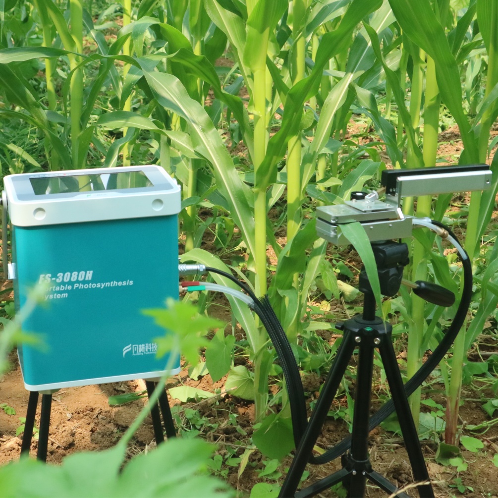FS-3080H 光合作用測定儀：科研利器的全面解析?