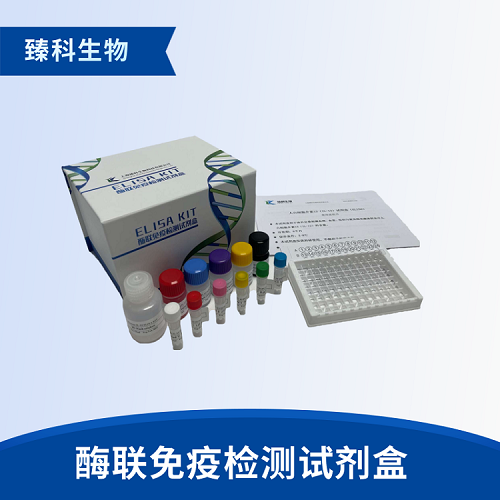 人Ⅰ型膠原C端肽(ICTP）酶聯(lián)免疫試劑盒
