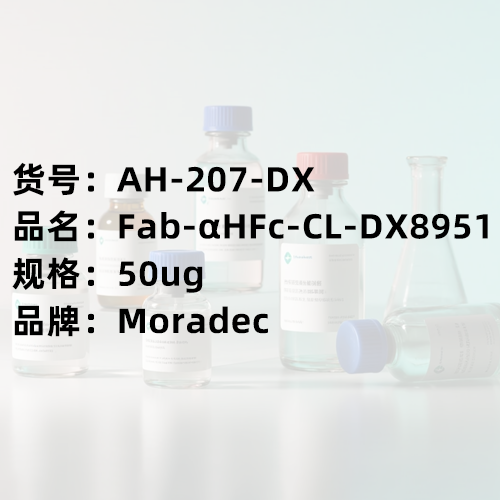Fab型ADC新突破！moradec AH-207-DX：精準(zhǔn)靶向的‘細胞內(nèi)藥物開關(guān)
