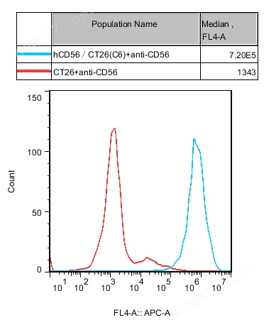 hCD56/CT26