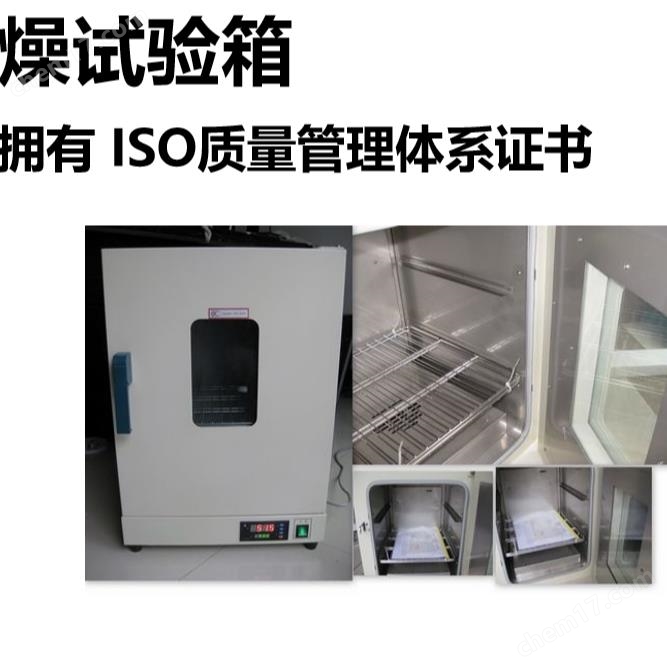 臺式鼓風(fēng)干燥箱