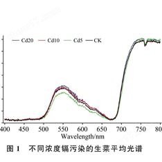 生菜鎘污染可見近紅外光譜在線分析模型構建
