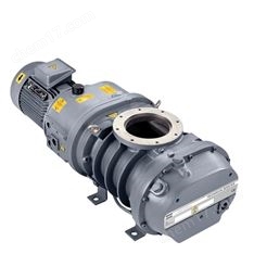 ZRS250阿te拉斯罗茨真空泵