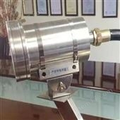 YJA-MG108EX 紅外防爆攝像機(jī)