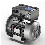 進口代理Elvem三相電機防爆電動機減速器