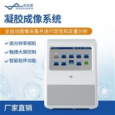 自動凝膠成像系統