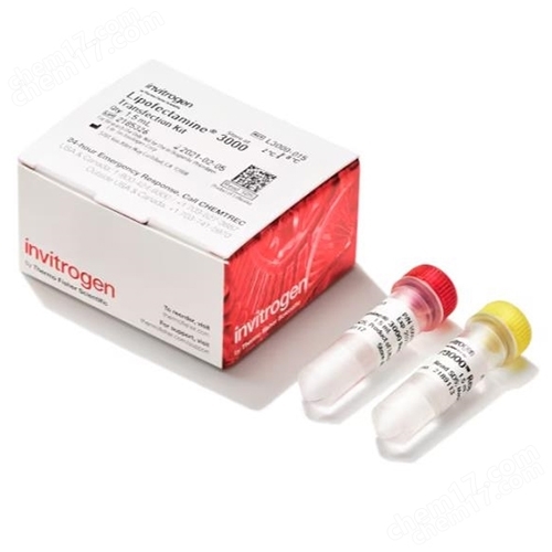Thermo賽默飛Lipofectamine 3000轉(zhuǎn)染試劑