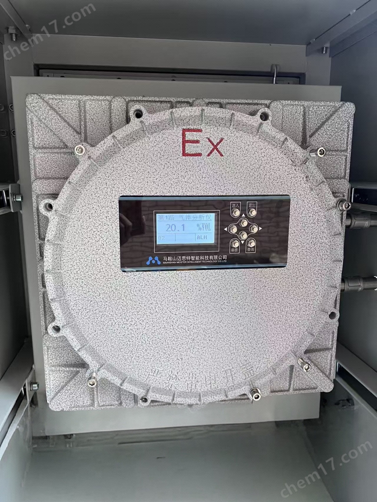 防爆氣體分析儀