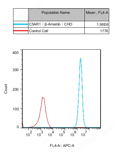 C5aR1/β-Arrestin/CHO