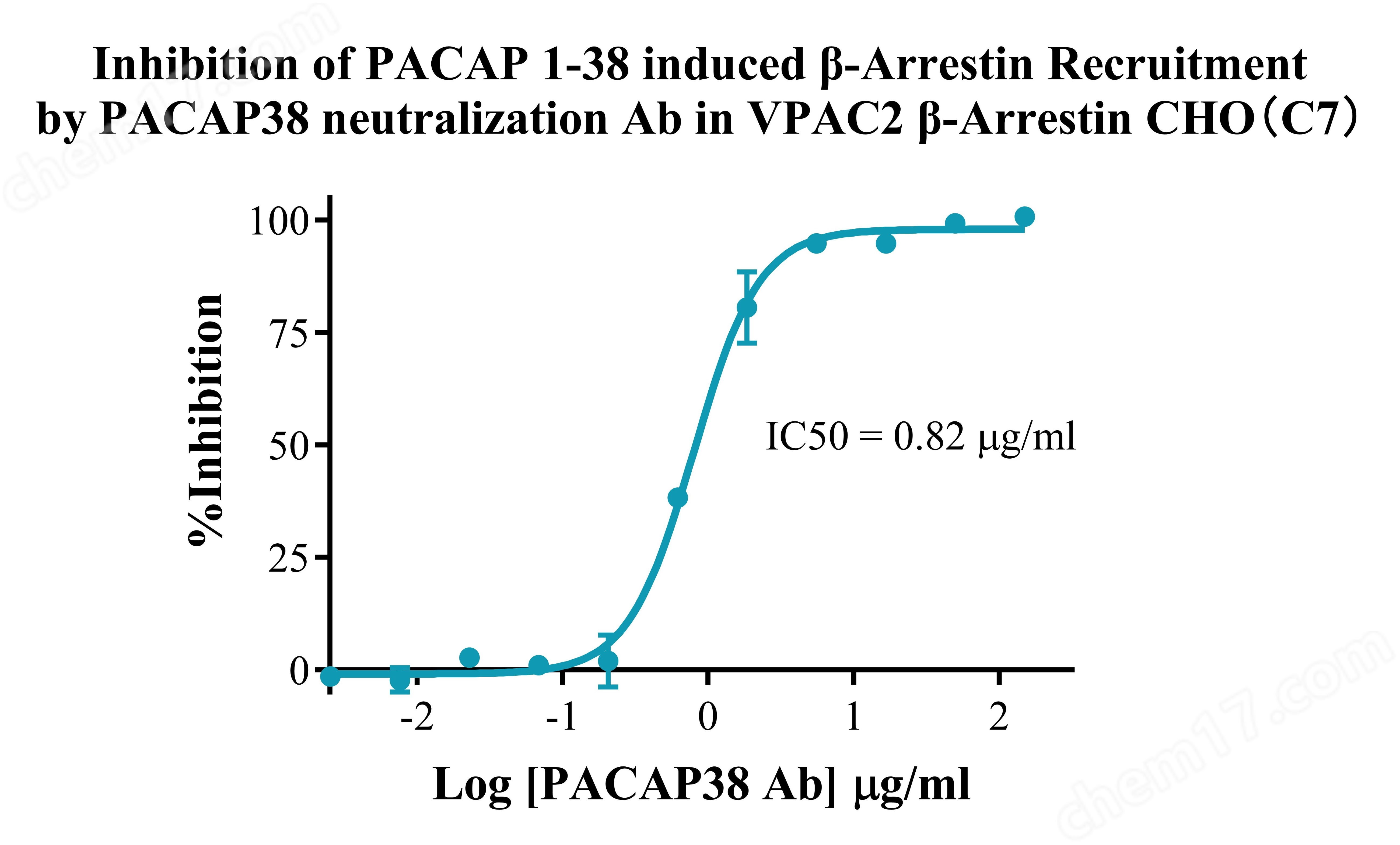 VPAC2 β-Arrestin CHO