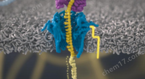 image.png 納米孔三代測序儀MinION