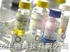 人磷酸化神經(jīng)絲H（pNF-H）ELISA試劑盒