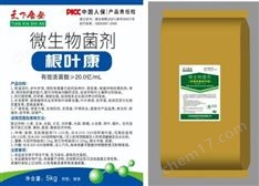 黃龍病生物防治的方案