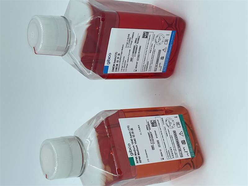 IMG_2047 - 副本.JPG