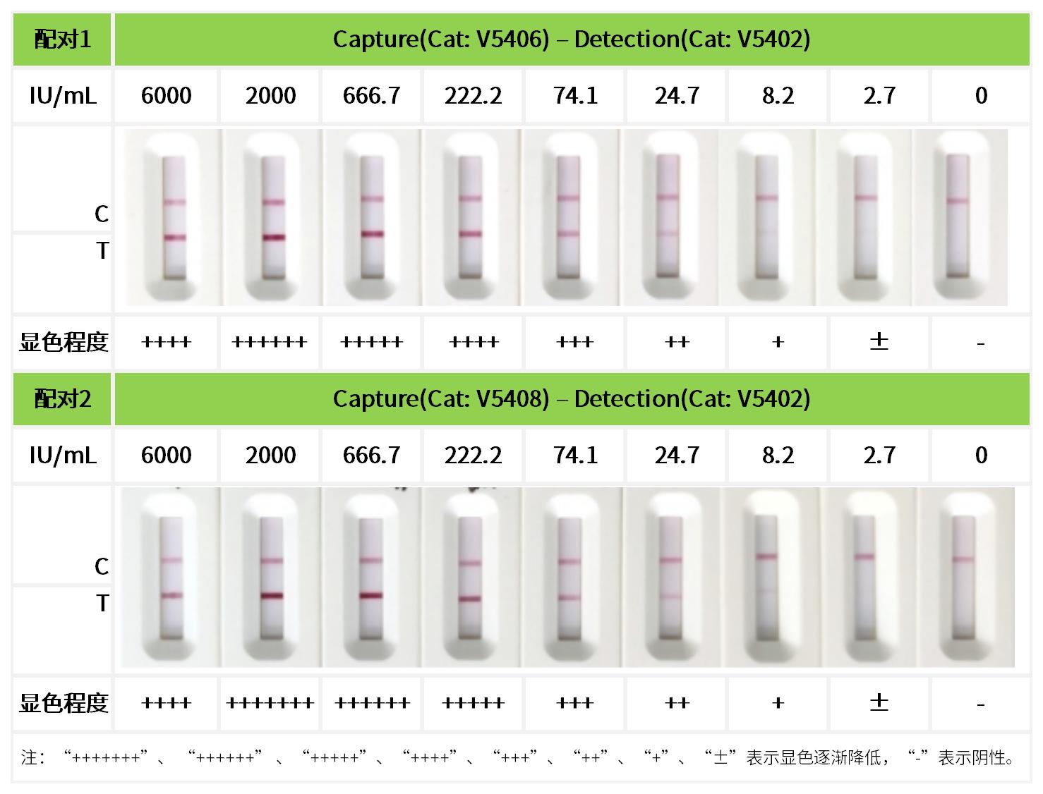 重點(diǎn)推薦 | 高靈敏度人IgE配對(duì)抗體！