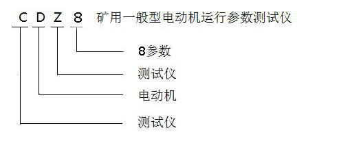 CDZ8 電動機運行參數(shù)測試儀