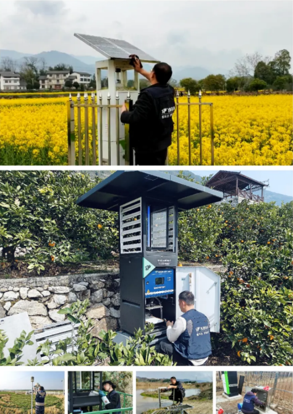 托普云農(nóng)：以AI賦能病蟲害測報，鍛造智慧植保硬核實力